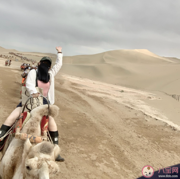 甘肅敦煌的鳴沙山因?yàn)槭裁吹妹?螞蟻莊園7月28日答案