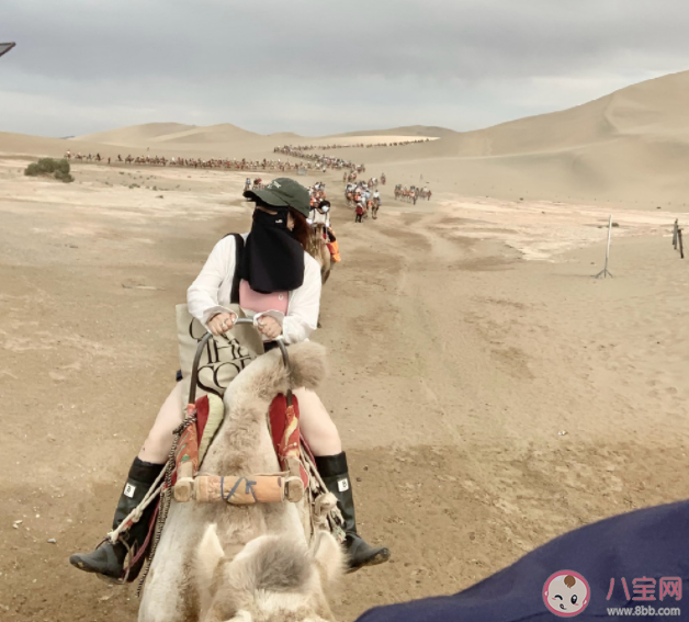 甘肅敦煌的鳴沙山因?yàn)槭裁吹妹?螞蟻莊園7月28日答案