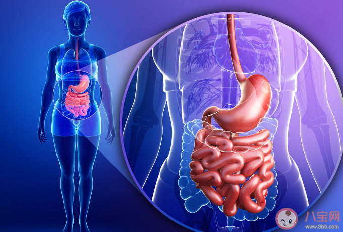 定期查腸鏡真的很有必要 哪一種腸息肉容易發(fā)生癌變
