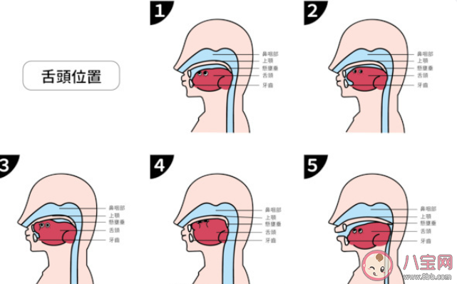 舌頭的正確擺放位置在哪 如何保護我們的舌頭