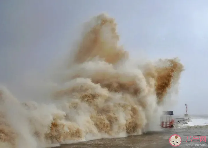臺風杜蘇芮路徑圖 臺風杜蘇芮為什么會出現直角拐彎 臺風杜蘇芮路徑圖 臺風杜蘇芮為什么會出現直角拐彎