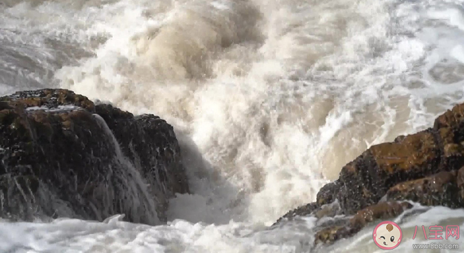 雙臺(tái)風(fēng)來了第6號(hào)臺(tái)風(fēng)卡努生成 臺(tái)風(fēng)卡努和杜蘇芮會(huì)相互影響嗎 雙臺(tái)風(fēng)來了第6號(hào)臺(tái)風(fēng)卡努生成 臺(tái)風(fēng)卡努和杜蘇芮會(huì)相互影響嗎