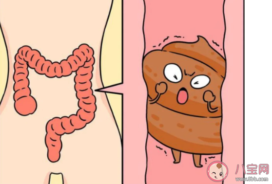 長期便秘大腦衰老更快嗎 經常便秘會變傻嗎