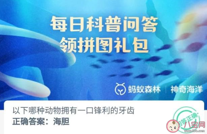 以下哪種動物擁有一口鋒利的牙齒 神奇海洋7月31日問題答案 以下哪種動物擁有一口鋒利的牙齒 神奇海洋7月31日問題答案