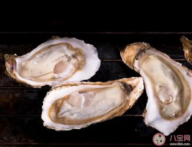 臺風吹來的遍地生蠔能不能吃 生蠔適合哪些人食用