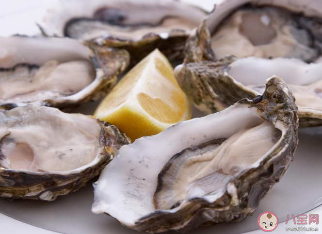 臺風吹來的生蠔能吃嗎有沒有健康隱患 吃生蠔前要做好哪些事情