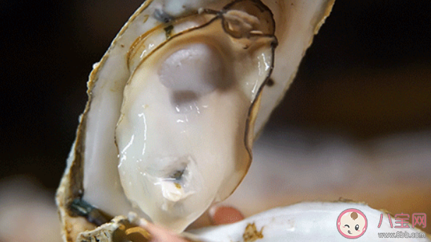 吃生蠔前做好3件事 生蠔有哪些吃法 吃生蠔前做好3件事 生蠔有哪些吃法