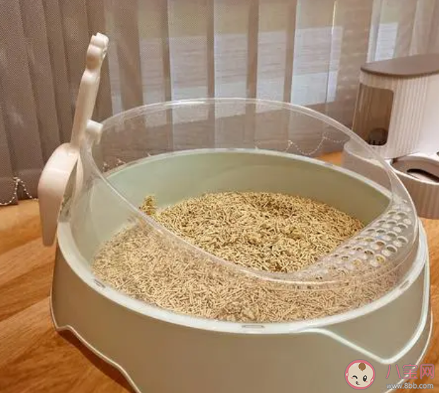 貓砂盆多久清理一次 如何挑選貓砂