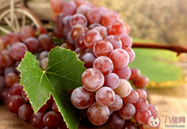 不同葡萄品種有什么區(qū)別 葡萄4不吃你知道嗎