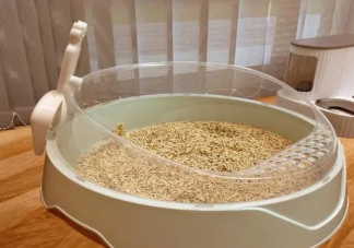 貓砂盆多久清理一次 如何挑選貓砂