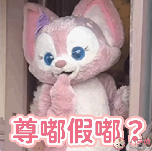 尊嘟假嘟是什么梗出處來源是什么 別人說尊嘟假嘟怎么回