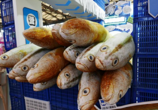 大黃魚抱枕被炒到666元 大黃魚抱枕為什么火了