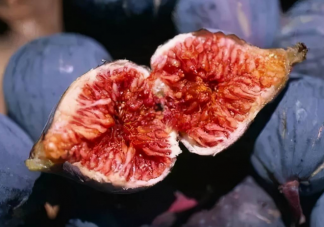 無花果干吃還是鮮吃好 無花果還有哪些吃法
