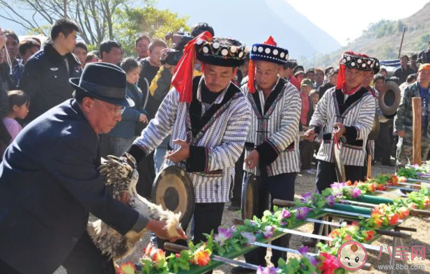 上刀山下火海是云南瀘水縣傈僳族什么節(jié)的主要習(xí)俗 螞蟻新村8月3日答案