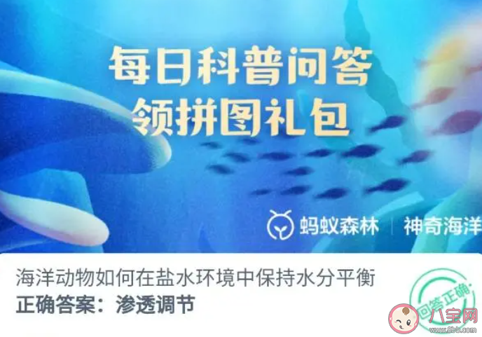 海洋動物如何在鹽水環境中保持水分平衡 2023神奇海洋8月4日答案