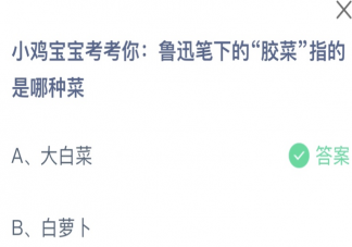 魯迅筆下的膠菜指的是哪種菜 螞蟻莊園8月5日答案最新