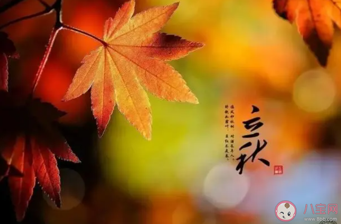 古代有梧桐報秋的習俗與哪個成語有關 2023螞蟻莊園8月8日答案 古代有梧桐報秋的習俗與哪個成語有關 2023螞蟻莊園8月8日答案