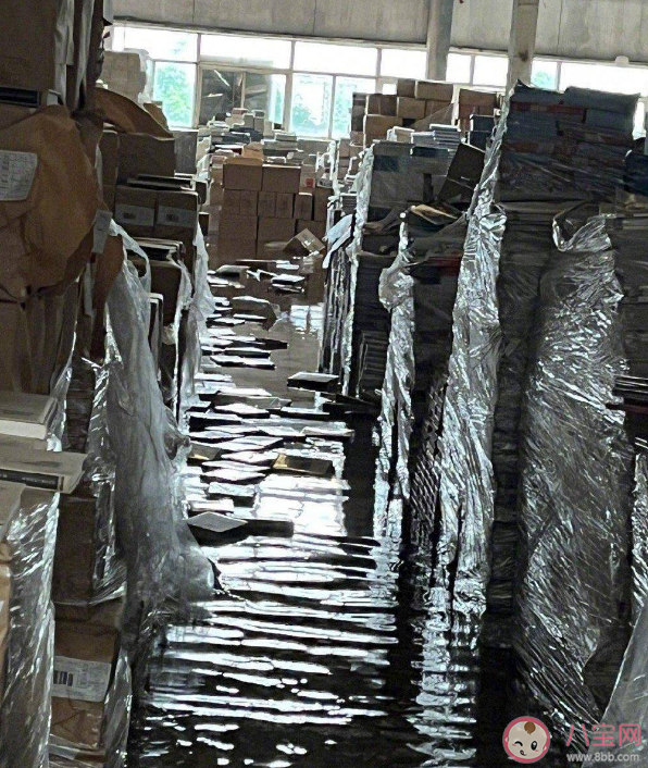 被水泡過的書還能看嗎 被水泡過的書為什么不能再用