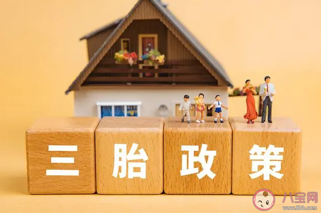 院士稱(chēng)當(dāng)前育齡女性生育力堪憂(yōu) 生育力受到哪些因素影響