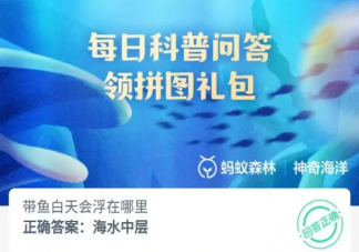 帶魚白天會浮在哪里 神奇海洋8月8日答案2023