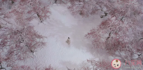 楊紫談長相思梅林殉情說了什么 梅林虐殺原著是怎樣描述的