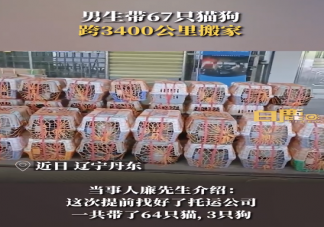 男生帶67只貓狗跨3400公里搬家 為什么寵物會被遺棄