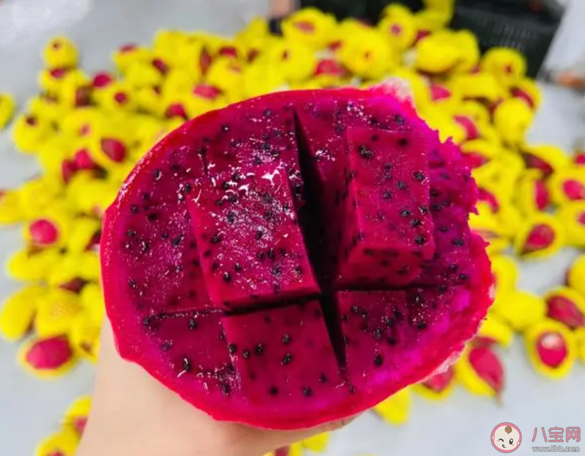 減肥期間能吃火龍果嗎 火龍果吃了有什么好處
