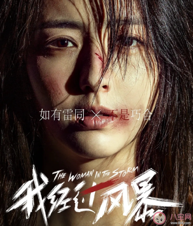 《我經過風暴》影評觀后感 《我經過風暴》好不好看