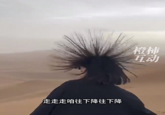吐魯番多名游客突然頭發(fā)直立如刺猬 快被雷劈之前有哪些征兆