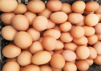 全國多地雞蛋價格漲至5元以上 雞蛋為什么漲價了