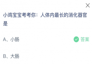 人體內最長的消化器官是什么 螞蟻莊園8月18日答案介紹