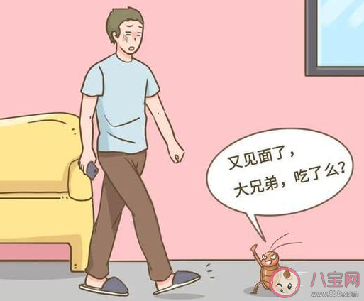天氣熱了蟑螂會變少嗎 蟑螂會被熱死嗎