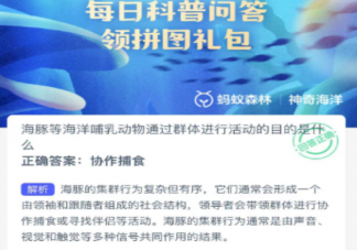 海豚等海洋哺乳動物通過群體進行活動的目的是什么 神奇海洋8月21日答案