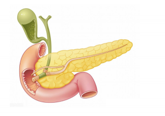 膽囊結(jié)石發(fā)病率越來越高嗎 如何預(yù)防膽囊結(jié)石