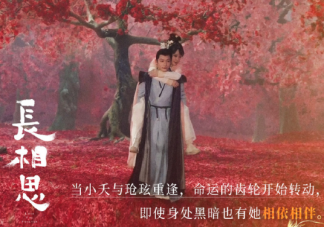 《長相思》第二季分集劇情簡介 《長相思》第二季什么時候播出