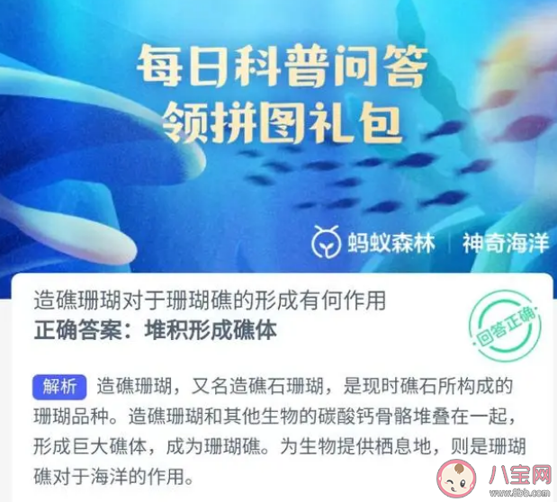 造礁珊瑚對于珊瑚礁的形成有何作用 螞蟻莊園8月23日答案