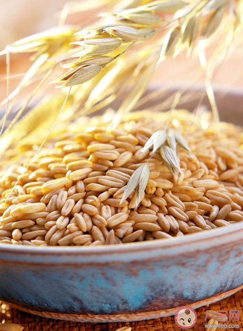 小麥胚芽值得買嗎 小麥胚芽可以預(yù)防疾病嗎