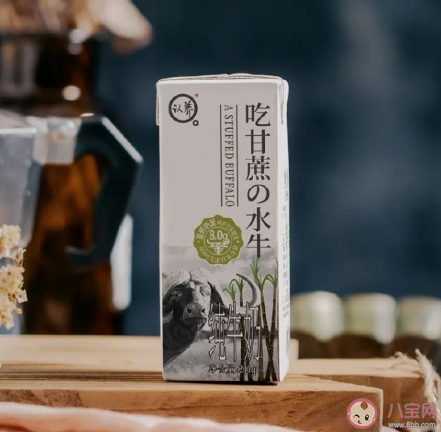 水牛奶是什么奶 水牛奶和純牛奶的區(qū)別是什么