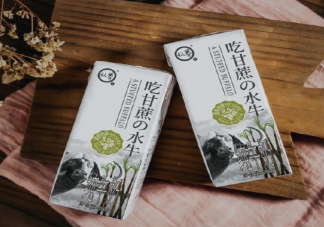 水牛奶是什么奶 水牛奶和純牛奶的區別是什么