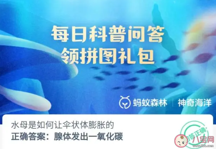 水母是如何讓傘狀體膨脹的 神奇海洋8月31日答案