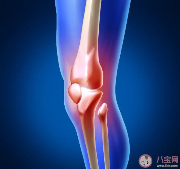 人體最大結構最復雜的關節是什么 螞蟻莊園9月2日答案最新