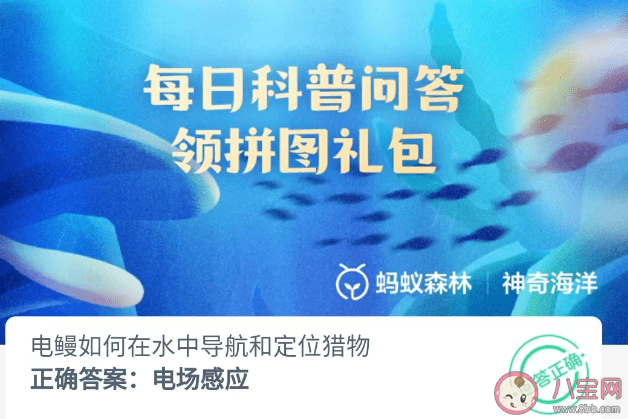 電鰻如何在水中導(dǎo)航和定位獵物 神奇海洋9月1日答案