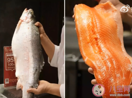 新疆三文魚喜獲豐收 三文魚可以怎么吃