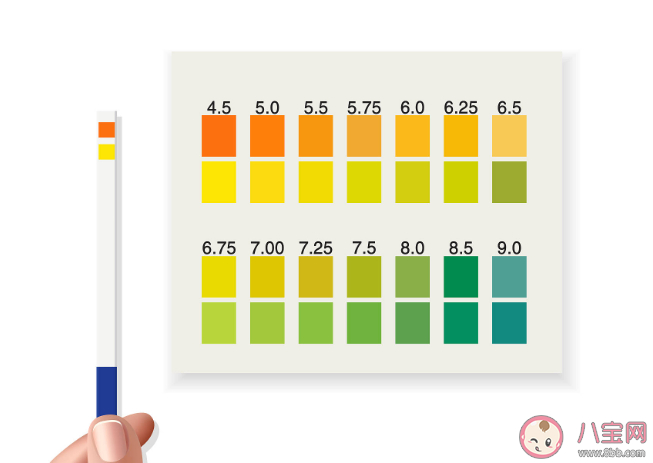 體檢時(shí)為何要留晨尿 尿檢為什么要中段尿