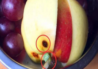 只壞一點的水果能吃嗎 切掉壞的部分能吃嗎