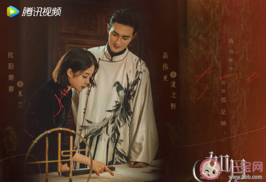 電視劇《如月》原著小說是什么 《如月》講述了什么故事