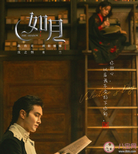 電視劇《如月》原著小說是什么 《如月》講述了什么故事