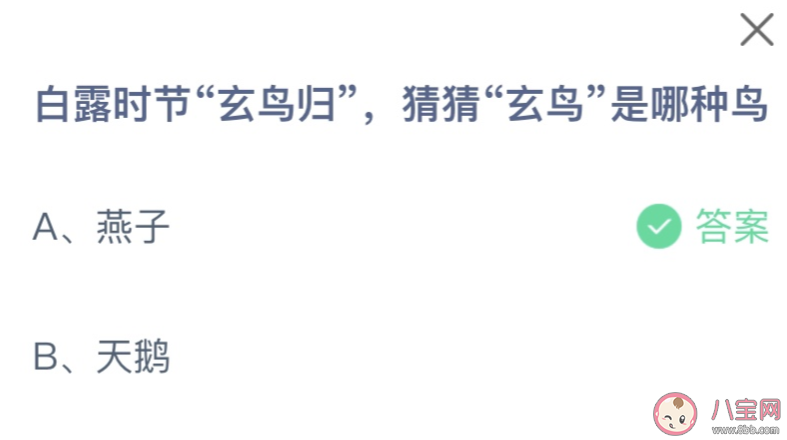 白露時(shí)節(jié)玄鳥(niǎo)歸猜猜玄鳥(niǎo)是哪種鳥(niǎo) 螞蟻莊園9月8日答案最新