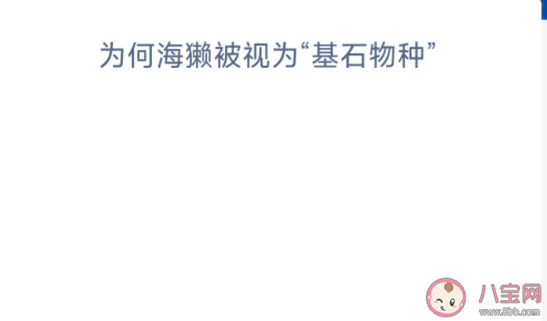 為何海獺被視為基石物種 神奇海洋9月7日答案