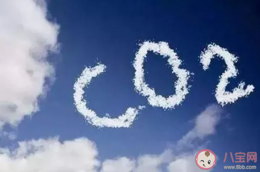 海草床紅樹林和哪類沿海生態系統被定義為藍色碳匯 神奇海洋9月8日答案